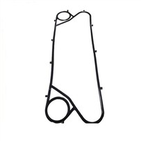 אטם מחליף חום לוחית API